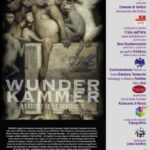 WUNDER KAMMER 2015